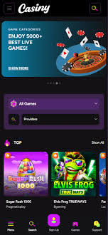 Complete Guide to Casiny Login Access Your Gaming Account
